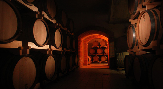 Follow wine routes along Istria and try some of our best autochthonous wines Malvazija, Teran and Moscatel